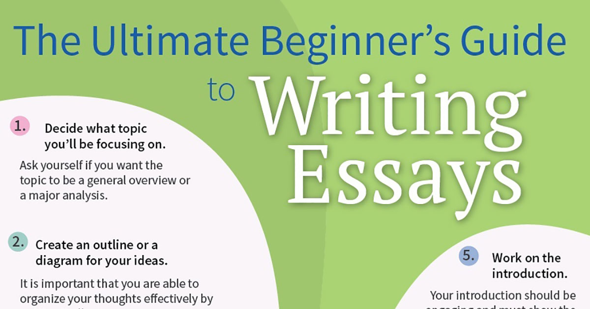 essay examples for beginners
